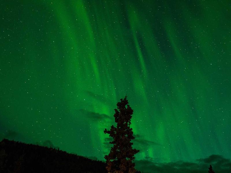 Pessoa na Aurora Boreal